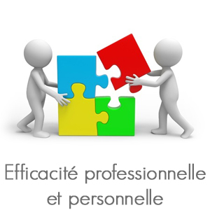 Efficacité professionnelle